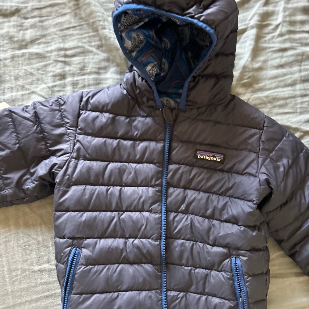 Patagonia Blue-Trimmed Puffer Jacket